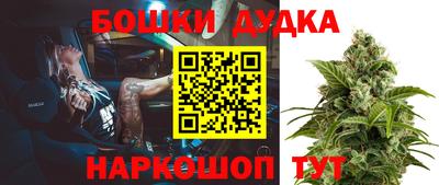 прущие крисы Будённовск